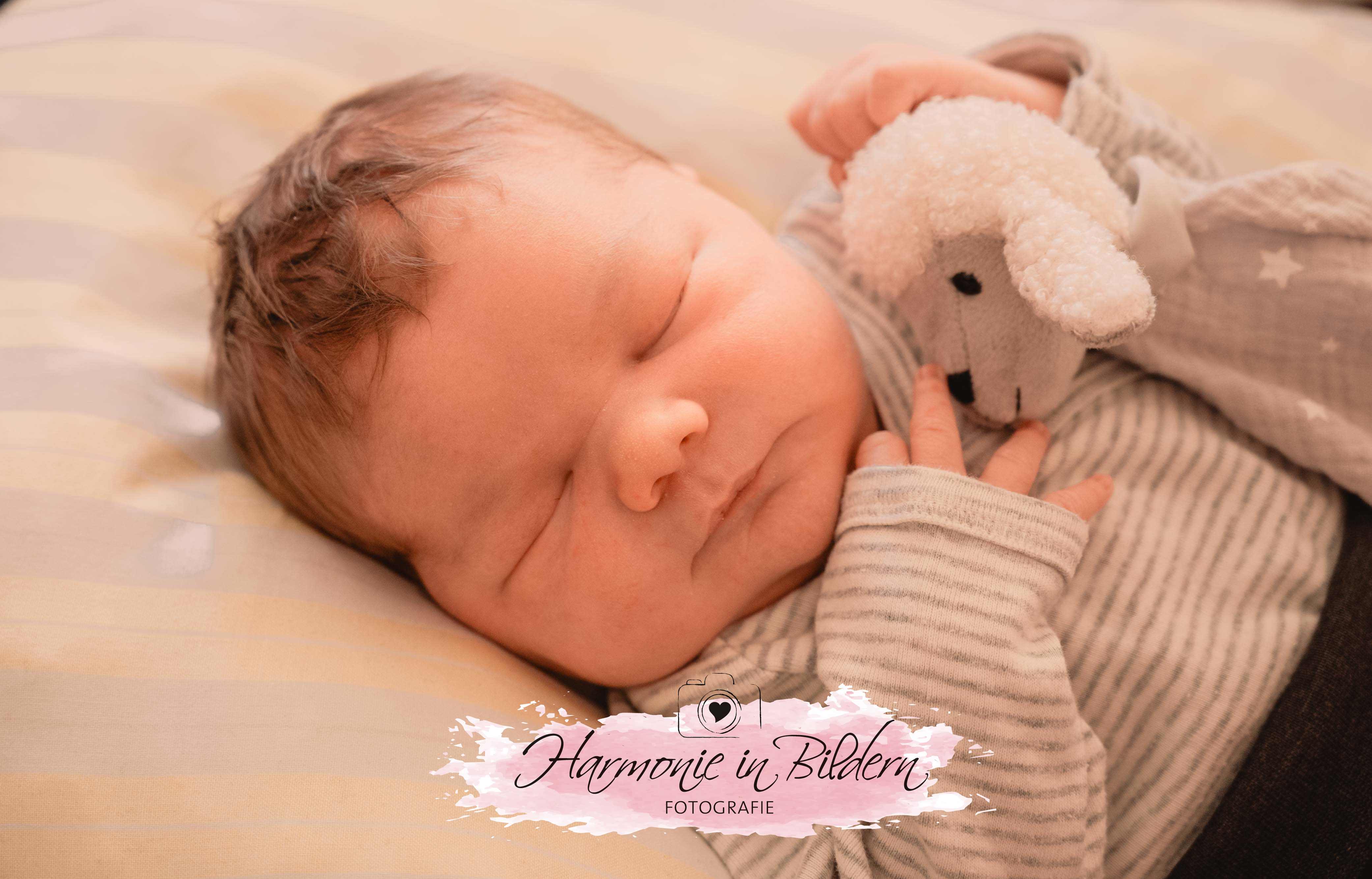 Neugeborener Junge mit dunklen Haar und Schäfchen im Arm