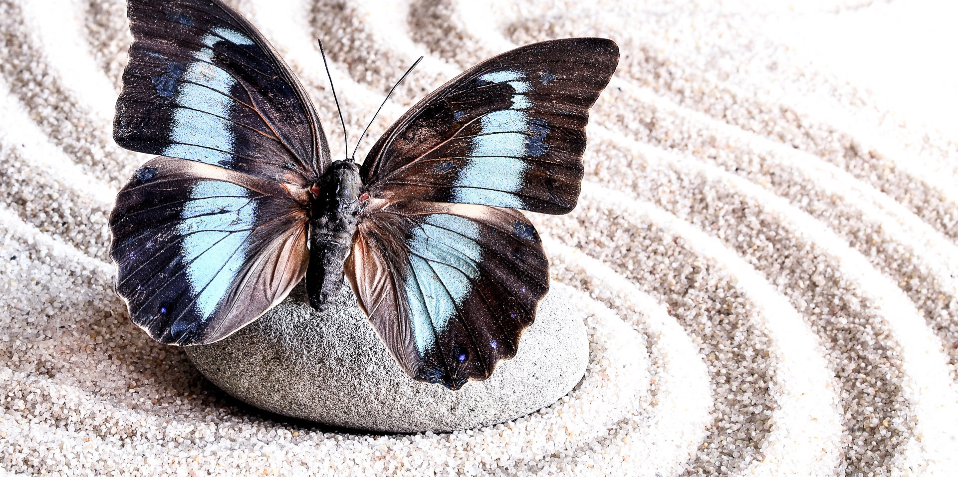 Zum Artikel: Palliative und hospizliche Versorgung im Heidekreis